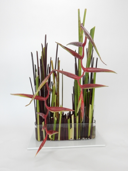Impossible things floral art design Impossible things floral art design