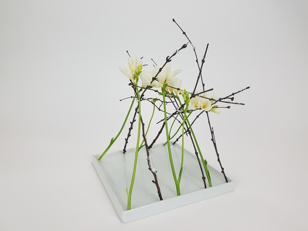 Marching frosted twig and freesia flower arrangement Marching frosted twig and freesia flower arrangement