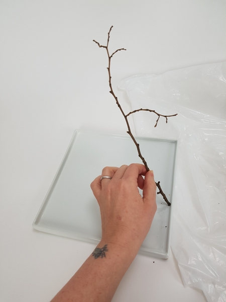 Measure a winter twig to calculate how high you want your design Measure a winter twig to calculate how high you want your design
