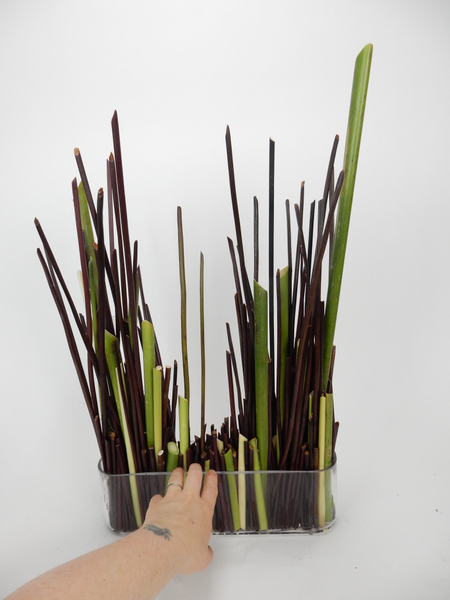 Move the stems around to create your basic design and let the stems settle in place