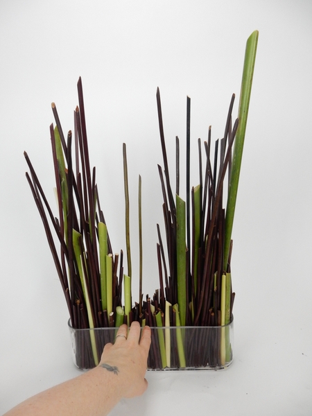 Move the stems around to create your basic design and let the stems settle in place Move the stems around to create your basic design and let the stems settle in place