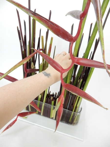 Place the heliconia stems. Place the heliconia stems.