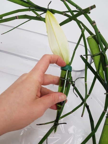 Place the lily in the water tube Place the lily in the water tube