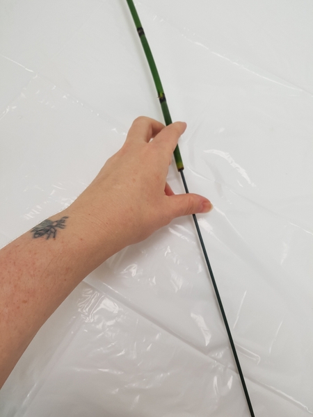 Press a wire into the Equisetum Press a wire into the Equisetum