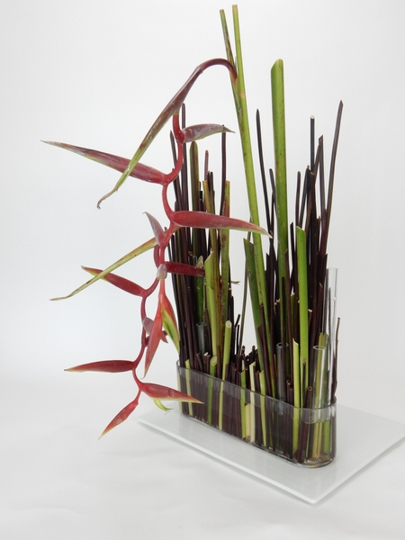 Red lipstick hanging heliconia stem armature Red lipstick hanging heliconia stem armature