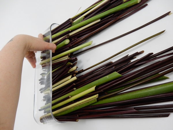 When the container is filled with stems lift it upright When the container is filled with stems lift it upright