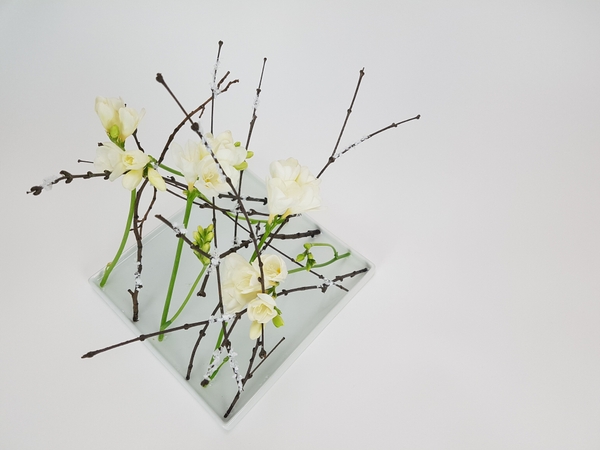 White freesia winter design White freesia winter design