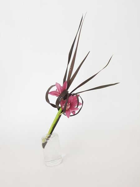 Curled, up floral art design Curled, up floral art design