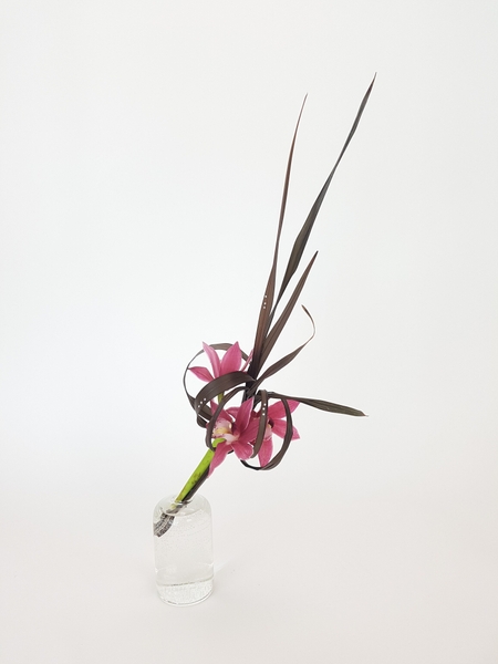 Cymbidium and Phormium floral art design Cymbidium and Phormium floral art design