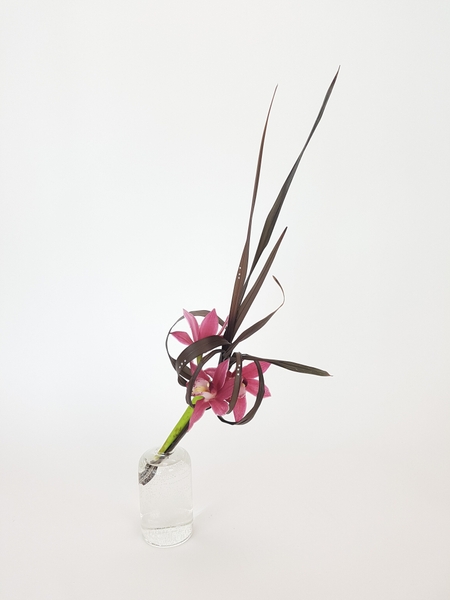 Cymbidium and Phormium floral art design