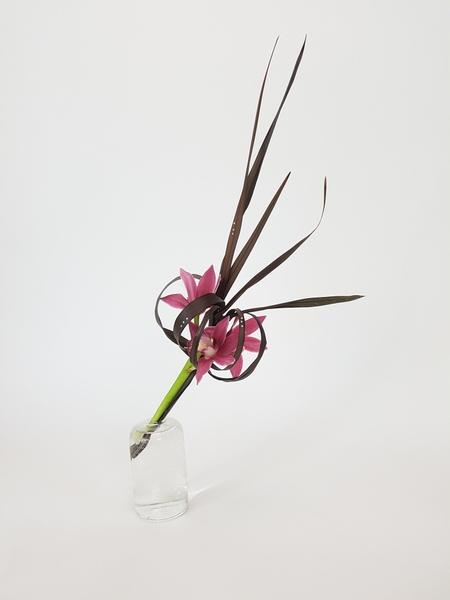 Cymbidium and Phormium framed design Cymbidium and Phormium framed design