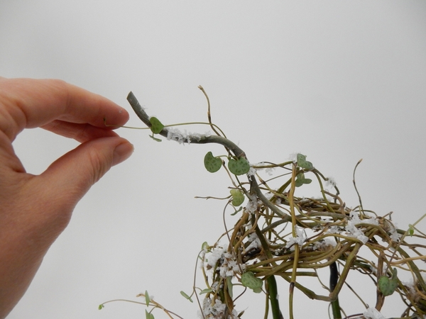Once the cage is secure add a few decorative willow stems, fake snow, sparkling beads and the fresh flowers and vines. Once the cage is secure add a few decorative willow stems, fake snow, sparkling beads and the fresh flowers and vines.