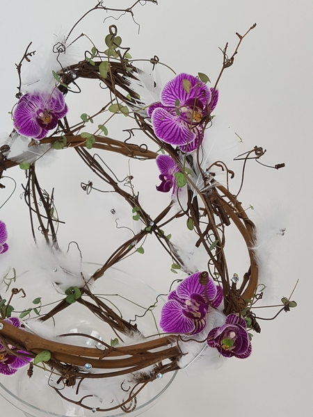 Phalaenopsis and rosary vine Phalaenopsis and rosary vine
