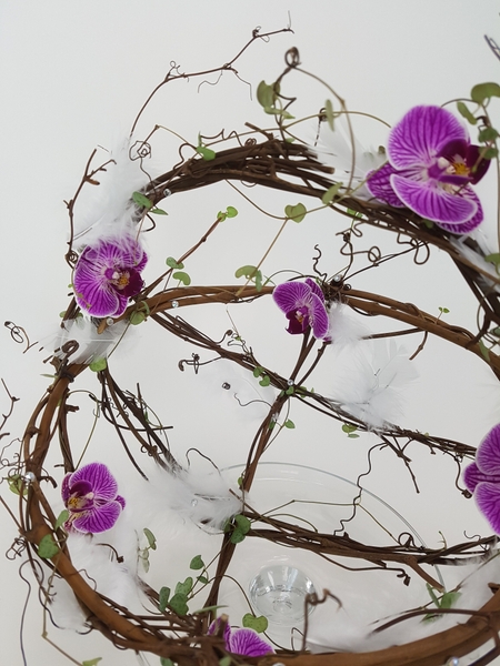 Phalaenopsis and rosary vine spring feather basket design Phalaenopsis and rosary vine spring feather basket design
