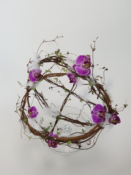 Phalaenopsis and rosary vine spring feather wide gap basket design Phalaenopsis and rosary vine spring feather wide gap basket design