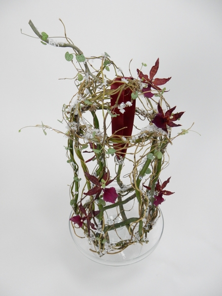 Willow and Oncidium orchids Willow and Oncidium orchids