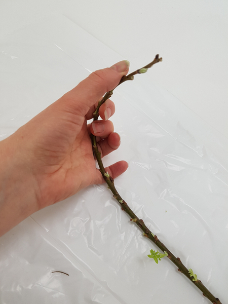 Carefully bend a twig to make it more pliable