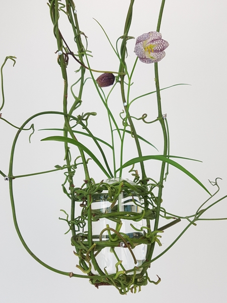 Clematis vine and Fritillaria flowers nest swing Clematis vine and Fritillaria flowers nest swing