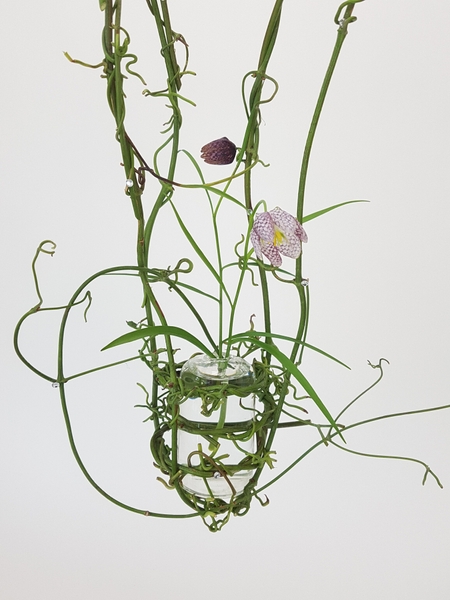 Clematis vine and Fritillaria flowers Clematis vine and Fritillaria flowers