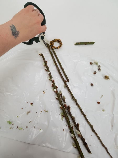Cut the stems for the spine of the hanging design. Cut the stems for the spine of the hanging design.