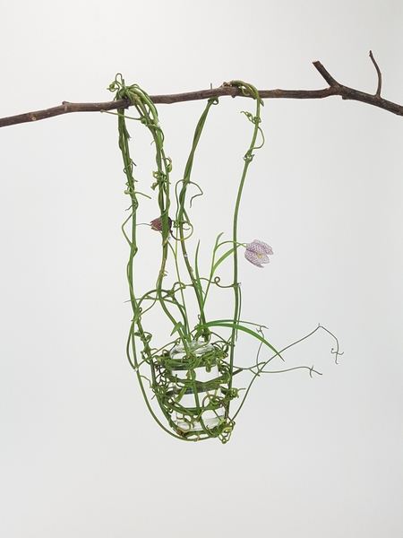 Delicate spring Clematis vine and Fritillaria flowers floral art design. Delicate spring Clematis vine and Fritillaria flowers floral art design.