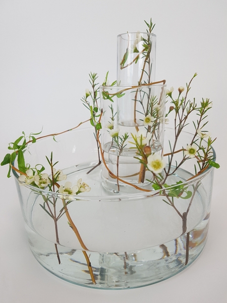 Delicate wax flower in water Delicate wax flower in water