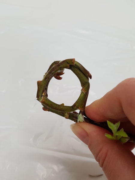 Hold the two ends together with your finger Hold the two ends together with your finger