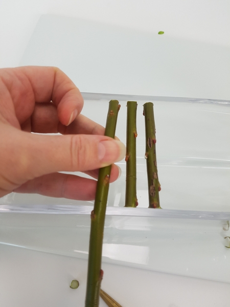 Measure each twig as you go along to make sure it wedges securely in the position you want it in Measure each twig as you go along to make sure it wedges securely in the position you want it in