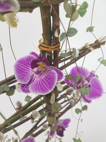 Phalaenopsis, rosary vine and pussy willow armature Phalaenopsis, rosary vine and pussy willow armature
