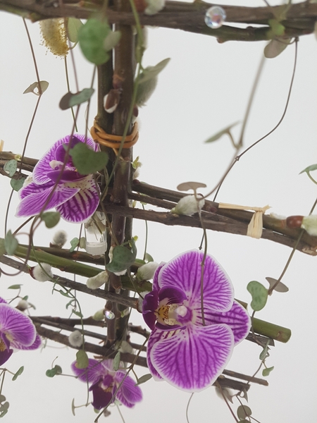 Phalaenopsis, rosary vine and pussy willow contemporary floral design Phalaenopsis, rosary vine and pussy willow contemporary floral design