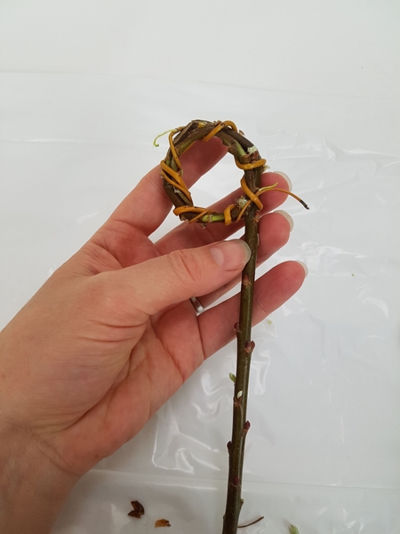 Secure by weaving the stem into the wrapped loop Secure by weaving the stem into the wrapped loop