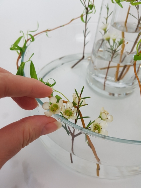 Set the flowers to rest between the willow and the glass around the edge of the container. Set the flowers to rest between the willow and the glass around the edge of the container.