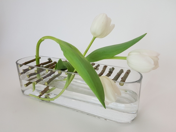 Tulips and pussy willow arrangement Tulips and pussy willow arrangement