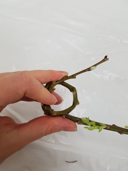 Until you can roll it into a double loop Until you can roll it into a double loop