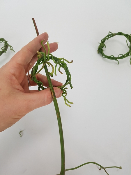 Weave a longer vine through the wreath Weave a longer vine through the wreath