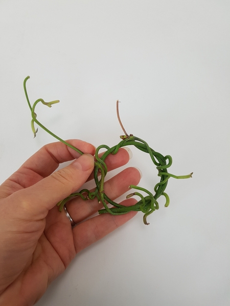 Weave the stem end tendrils into the wreath Weave the stem end tendrils into the wreath