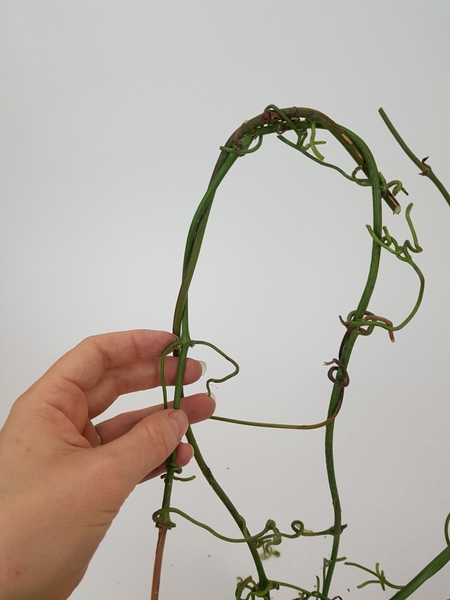 Weave the two vines to combine and secure with stem tendrils Weave the two vines to combine and secure with stem tendrils