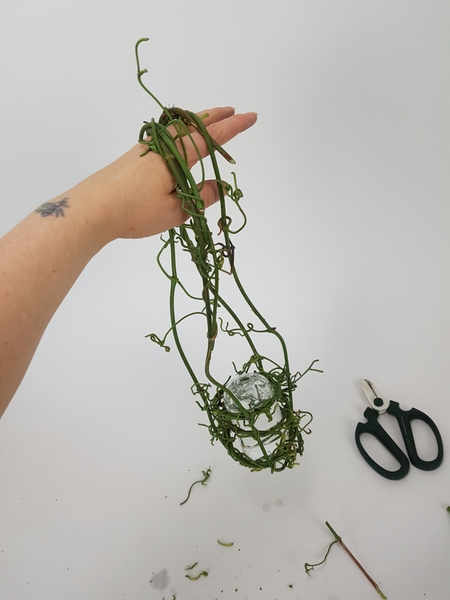 Weave the vines together and secure with tendrils. Weave the vines together and secure with tendrils.