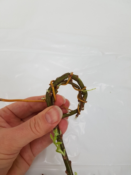 Wrap the willow around the loops Wrap the willow around the loops