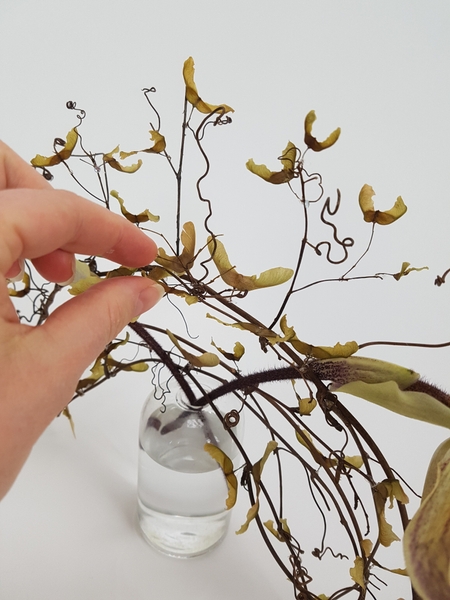 And delicate tendrils to radiate out from the armature And delicate tendrils to radiate out from the armature