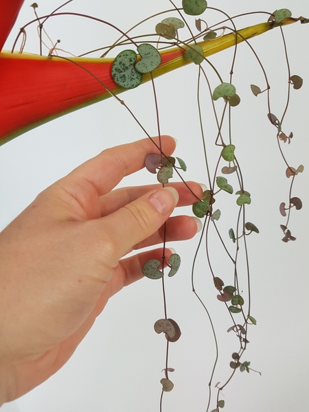 Arrange the vines so that they trail down the flower stem Arrange the vines so that they trail down the flower stem