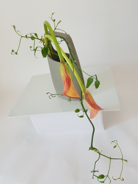 Arum lily and clematis vine Arum lily and clematis vine