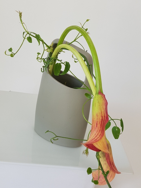 Arum lily floral art. Arum lily floral art.