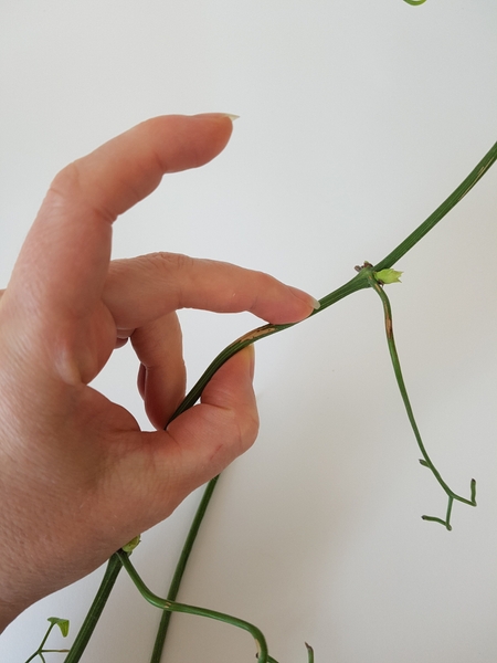 Create a sharper angle by padding the stem with your thumb