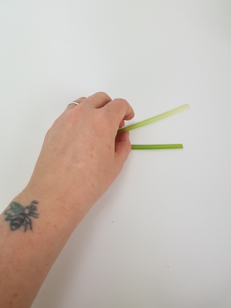 Cut away the harder stem ends of lily grass Cut away the harder stem ends of lily grass