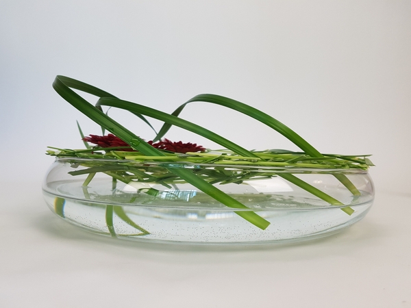 Environmentally friendly floral design Environmentally friendly floral design
