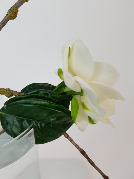 Gardenia floral design