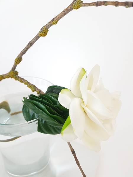 Gardenia single bud design Gardenia single bud design