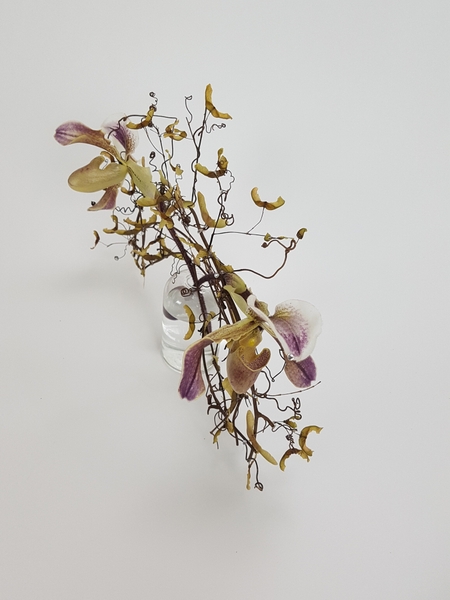 Lady Slipper orchids flower arrangement Lady Slipper orchids flower arrangement