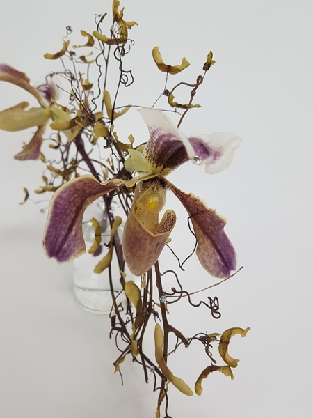 Lady Slipper orchids used in a floral design Lady Slipper orchids used in a floral design